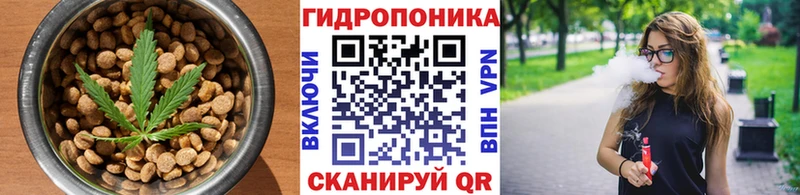 Canna-Cookies конопля hydra ссылки Нижнеудинск